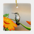 Suche nach nektar ornamente Natur