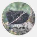 Recherche de wildlife party autocollants Nature