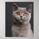 Suche nach tierärzte kunst Katzen