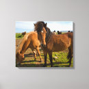 Suche nach pony leinwandbilder Ranch
