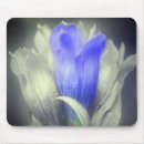 Suche nach blaues blumen mousepads Mother
