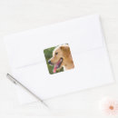 Suche nach profile aufkleber Hund