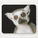 Suche nach lemuren mousepads Affe