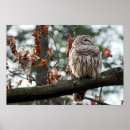 Recherche de smile photographie Nature