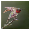 Recherche de étiquettes carreaux Animal