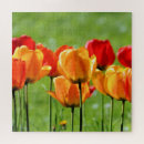 Suche nach rote tulpen puzzle Natur