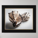 Recherche de coquillages de art Tropical