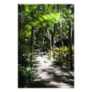 Suche nach fidschi poster Natur