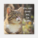 Recherche de slogans magnets Mignon