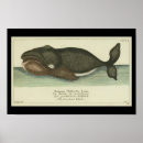 Recherche de zoologie vintage posters Illustration