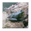 Suche nach hell fliesen Dekoriert