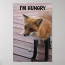 Suche nach fuchs kinderzimmer poster Tier