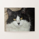 Suche nach weiße und schwarze katze puzzle Rätsel