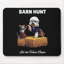 Recherche de chasse à oiseau tapis souris Chasse au bon