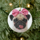 Recherche de pug decor Dog