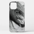 Recherche de beau cheval coques Nature