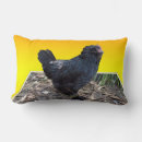 Recherche de de poulet coussins Pour elle