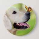 Recherche de chien papillon badges Amoureux des chiens
