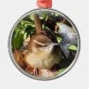 Recherche de roitelet ornements Oiseau