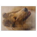 Suche nach rau schneidebrettchen Raue collie