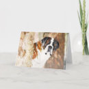 Suche nach st bernard karten Heilige