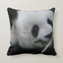 Suche nach panda kissen Bambus
