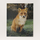Suche nach niedlicher fuchs puzzle Foto