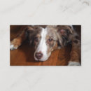 Recherche de merles cartes visite Simple