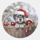 Recherche de chien de schnauzer autocollants Noël