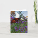 Recherche de bleuets vœux cartes Papillon