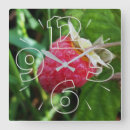 Suche nach himbeeren poster Grün