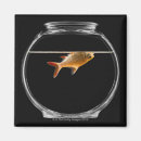 Suche nach goldfisch magnete Wasser