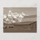 Suche nach mormonen poster Tetons