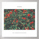 Recherche de fleurs rouges posters Jardin