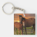 Suche nach pony schlüsselanhänger Tiere