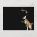 Suche nach shiba poster Hund
