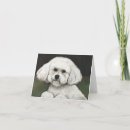 Recherche de notes animaux articles Blanc