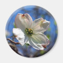 Recherche de arbre fleurissant magnets Fleurs