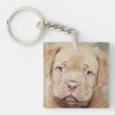 Suche nach reinrassiger hund schlüsselanhänger Niedlich