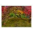 Suche nach ahornbaum postkarten Aple