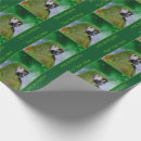 Suche nach macaw Vogel