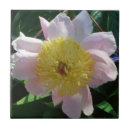 Suche nach zinn fliesen Blume