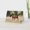 Recherche de étalon arabe vœux cartes Bob langrish