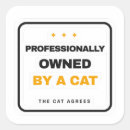Recherche de citations de chat autocollants Chaton