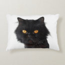 Recherche de yeux jaunes coussins Chat