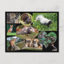 Suche nach sorten poster Natur
