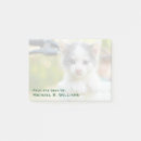 Suche nach leute post it Katze