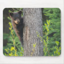 Suche nach bärenjunge mousepads Babybär