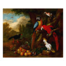 Suche nach macaws kunst Ara