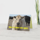 Recherche de trop vœux cartes Cowboy